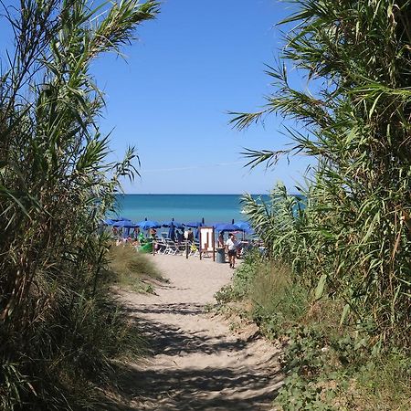 Camping Village Baia del Marinaio Vada Esterno foto